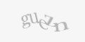 Código de segurança