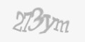 Código de segurança